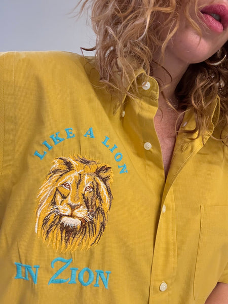 LIKE A LION