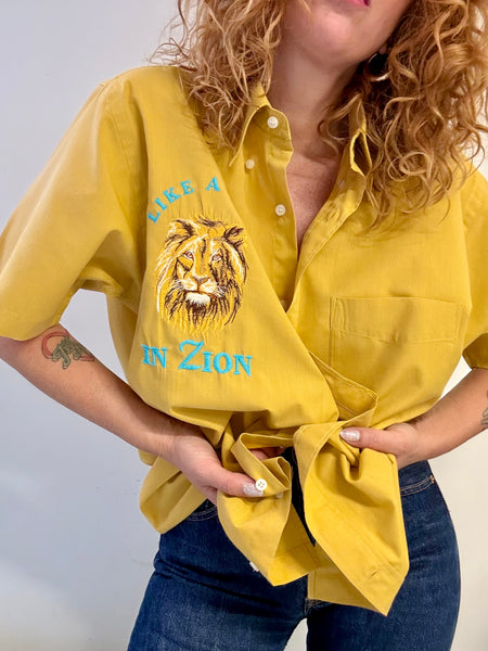 LIKE A LION